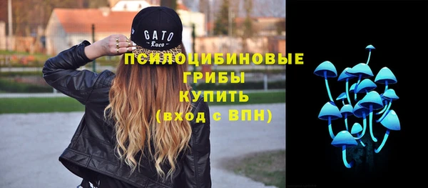 дживик Горнозаводск