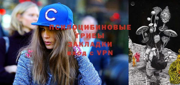 мет Вяземский