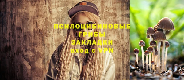 дживик Горнозаводск