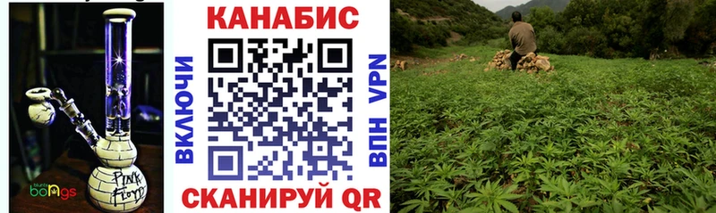 купить наркоту Гусев Бошки Шишки AK-47